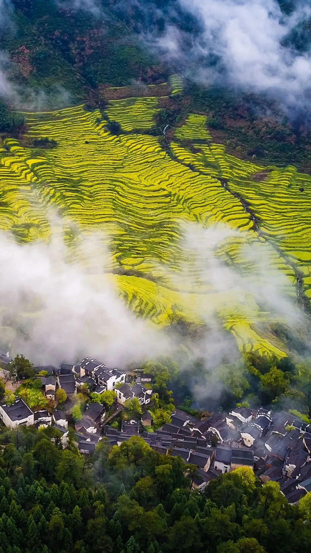 赣鄱大地，江西，诗意与神秘交融的画卷